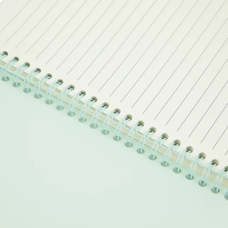 Spiral Diary Notebook